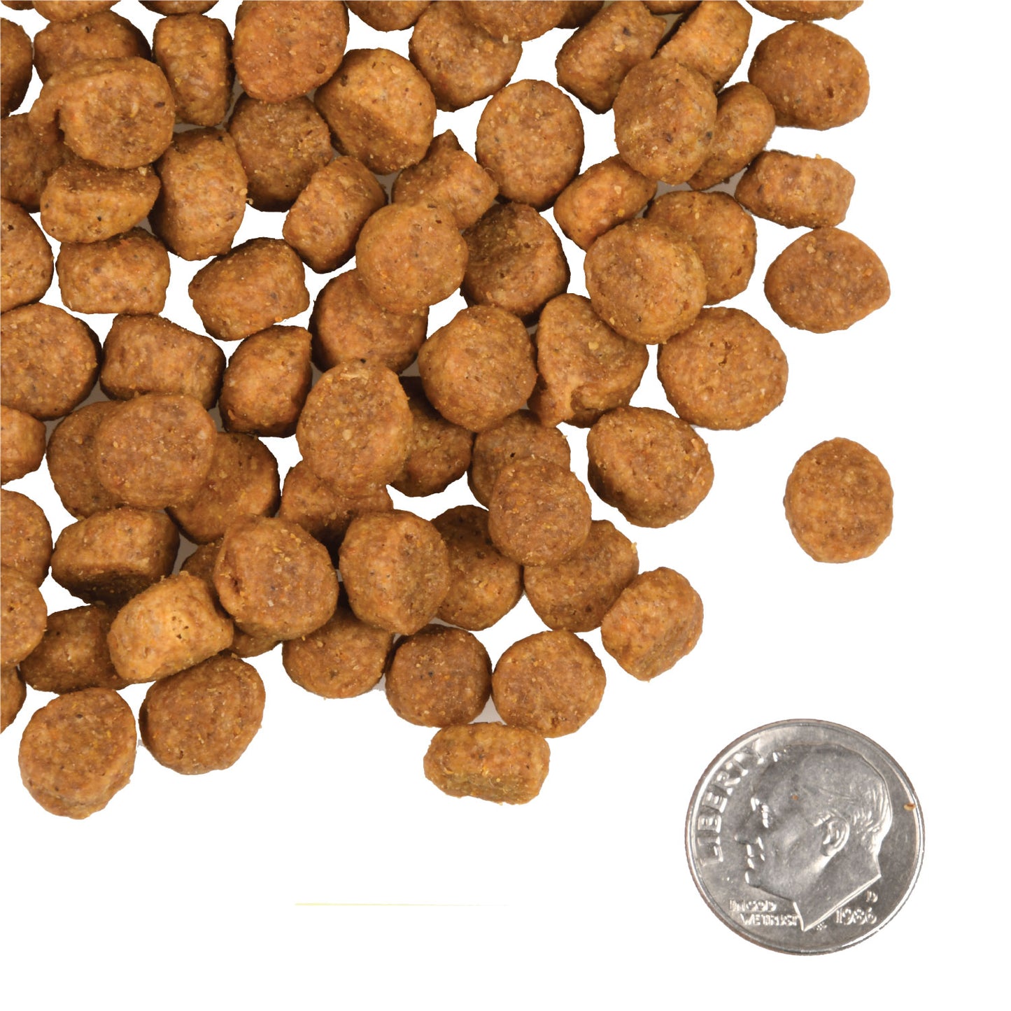 FROMM® HEARTLAND GOLD GRAIN FREE LARGE BREED PUPPY DRY DOG FOOD