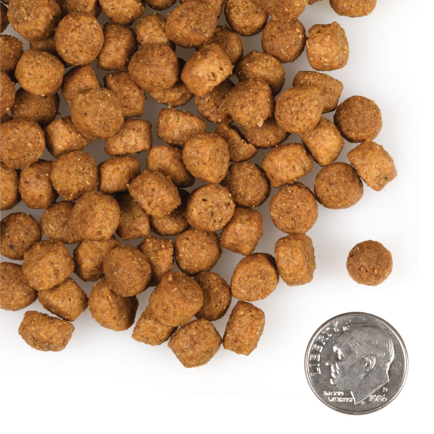 FROMM® GOLD LARGE BREED PUPPY DRY DOG FOOD