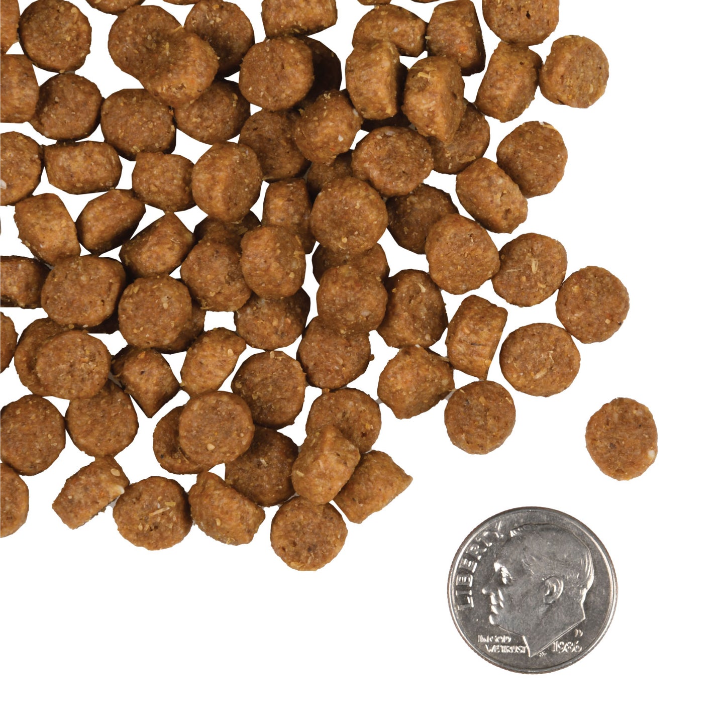 FROMM® GOLD PUPPY DRY DOG FOOD