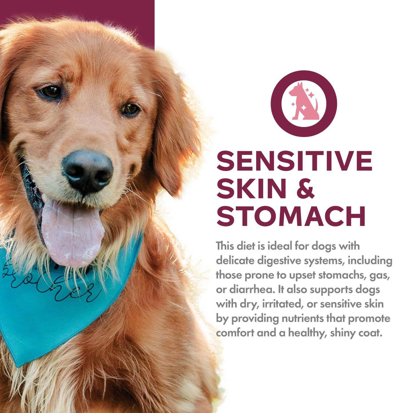Sensitive Skin & Stomach Salmon & Whole Oats Recipe