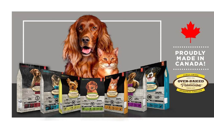 Oven-Baked Tradition