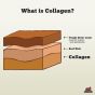 Redbarn Collagen Sticks Dog 30in