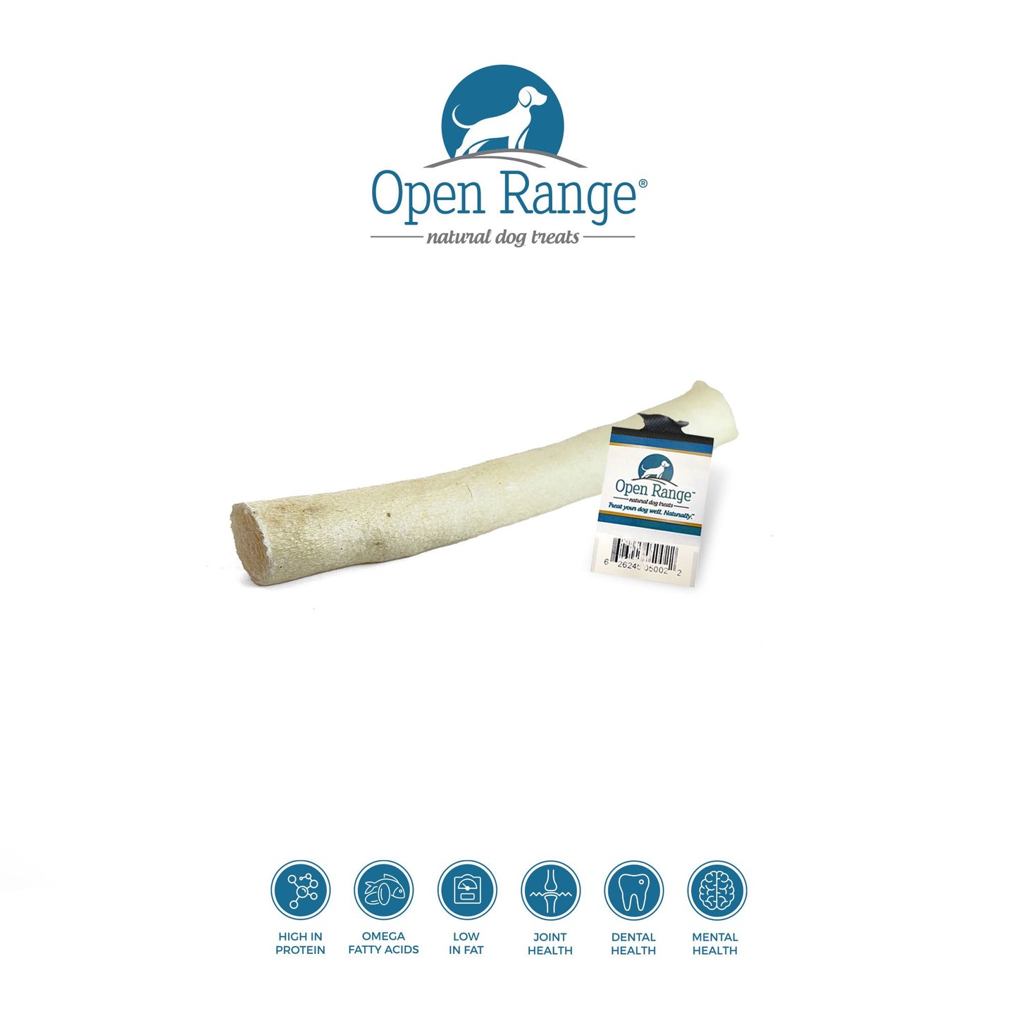 Open Range Bull Tail Full Length Dog