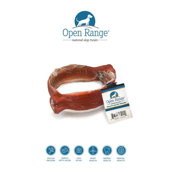 Open Range Bully Ring Dog