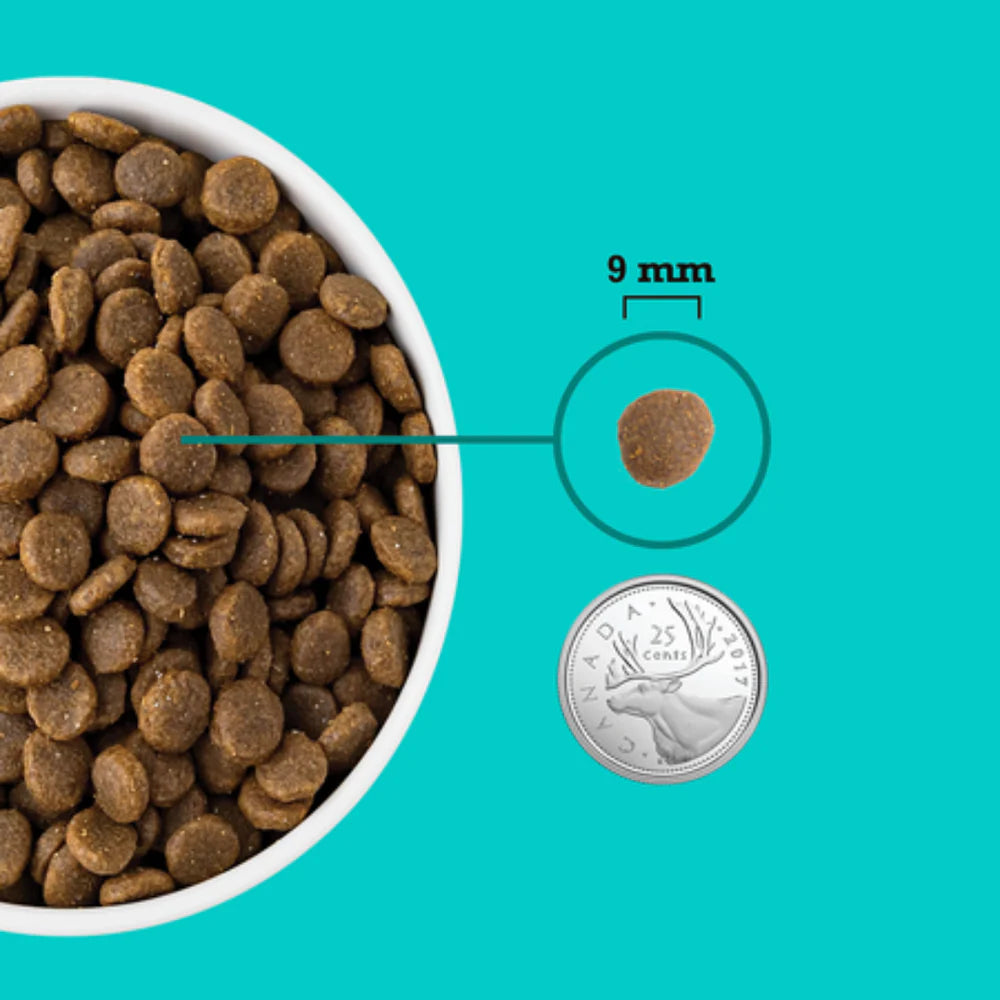 Healthy Grains, Sea to Farm Puppy Recipe