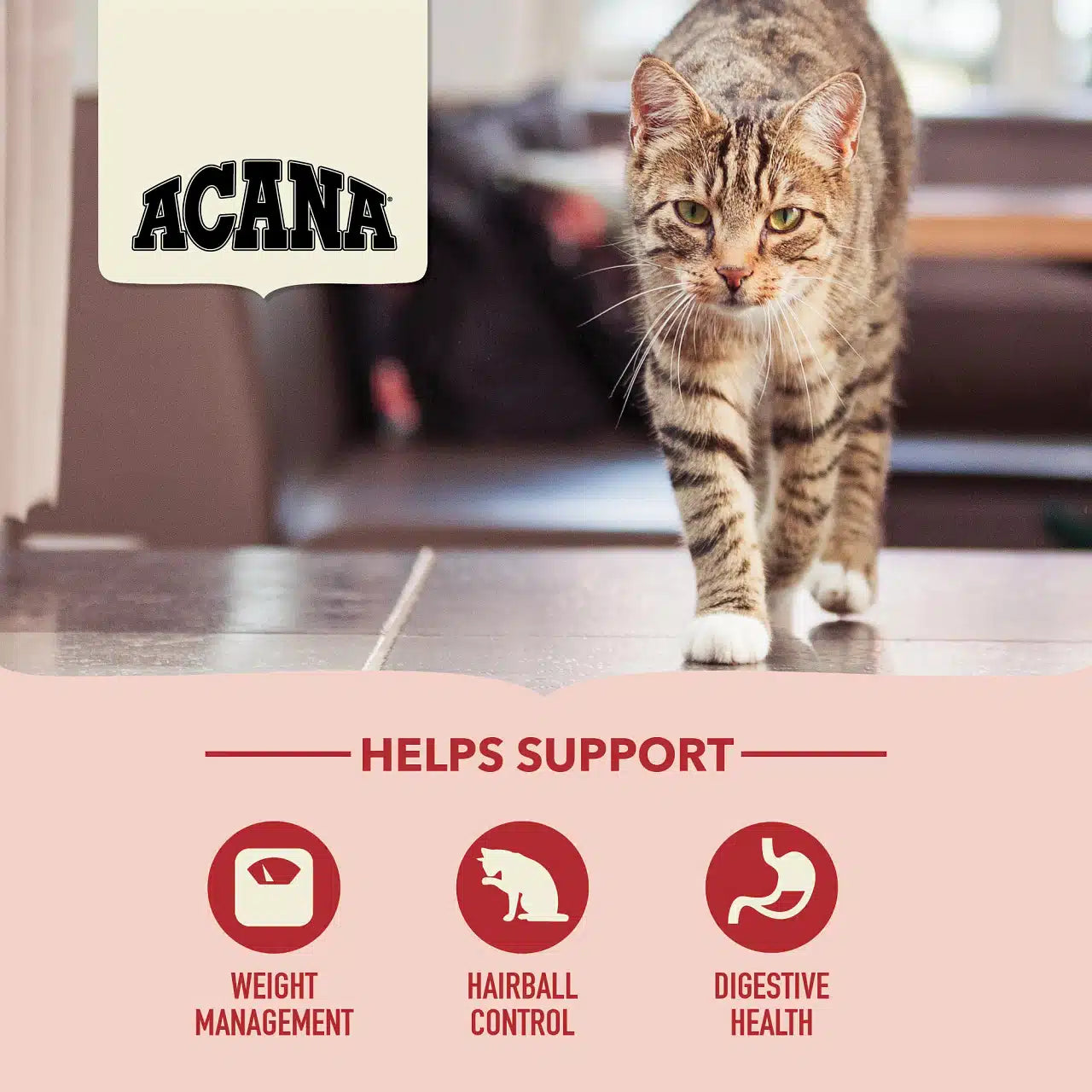 Acana Indoor Entrée Cat food