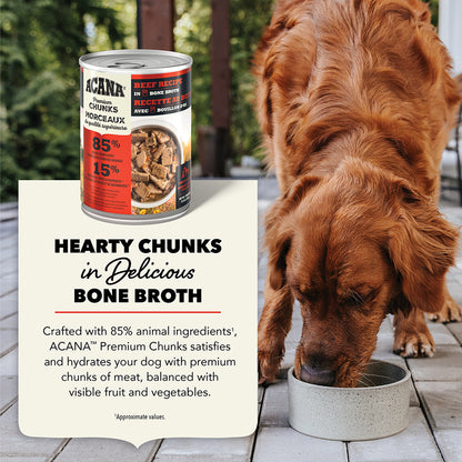 ACANA Premium Chunks Wet Dog Food Beef Recipe in Bone Broth 363g