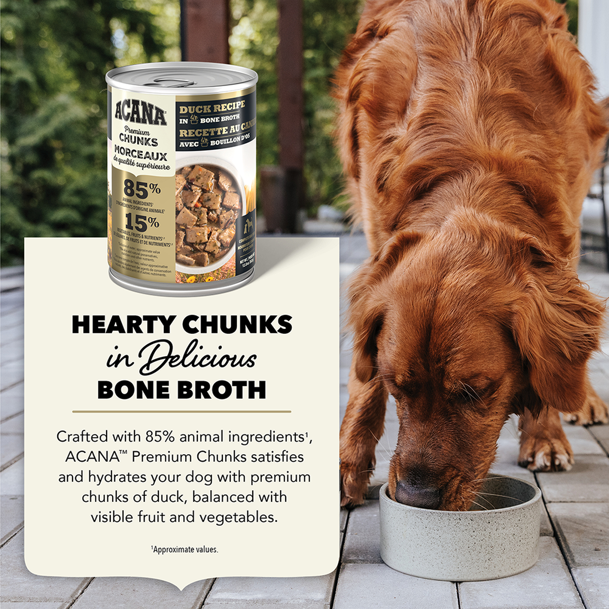 Premium Chunks, Duck Recipe in Bone Broth
