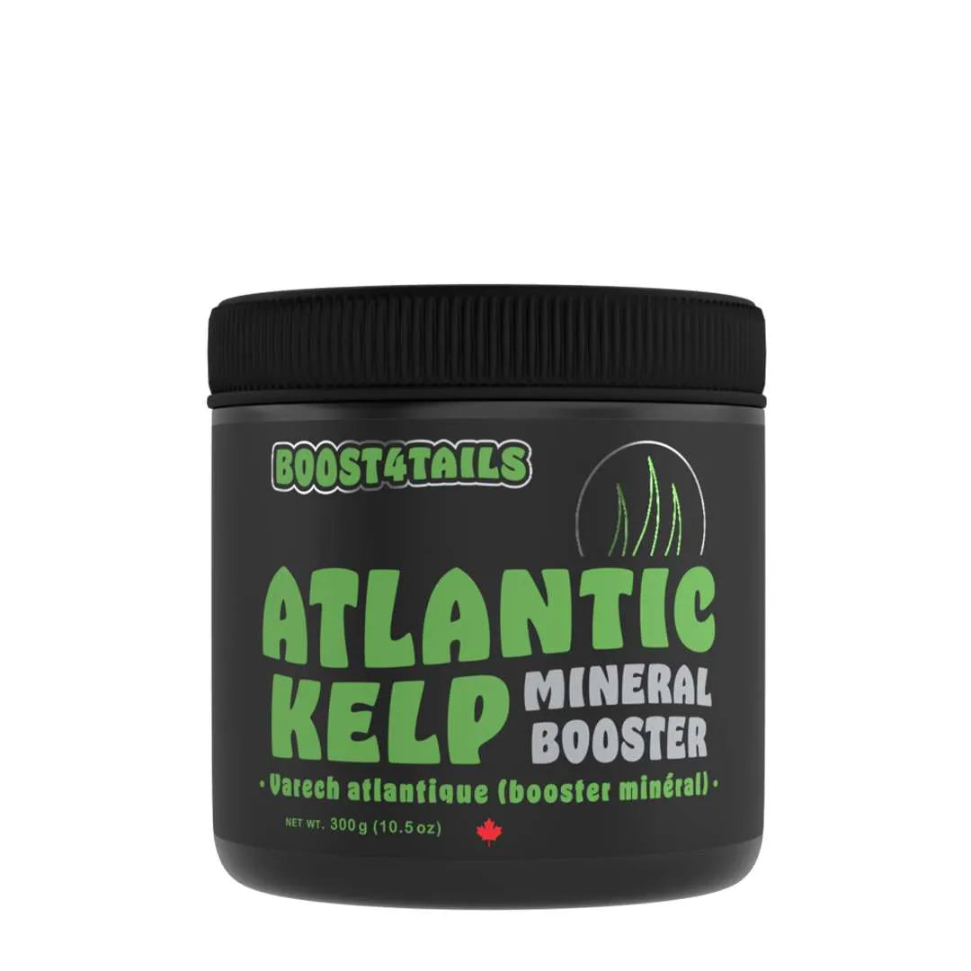 Boost 4 Tails: ATLANTIC KELP 300 g