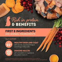 ACANA Chunks in Broth Cat Wet Food Salmon + Chicken Recipe 155g