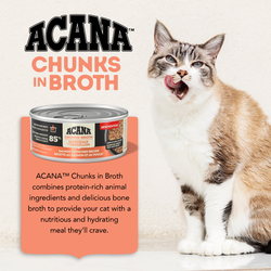 ACANA Chunks in Broth Cat Wet Food Salmon + Chicken Recipe 155g