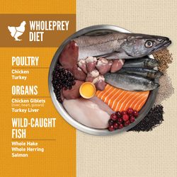 ORIJEN Amazing Grains Puppy