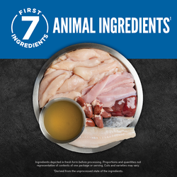 ORIJEN Pate Wet Dog Original with Liver 363g