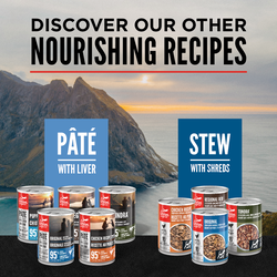 ORIJEN Pate Wet Dog Original with Liver 363g