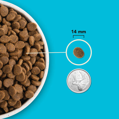 Acana Highest Protein, Pacifica Dog Food