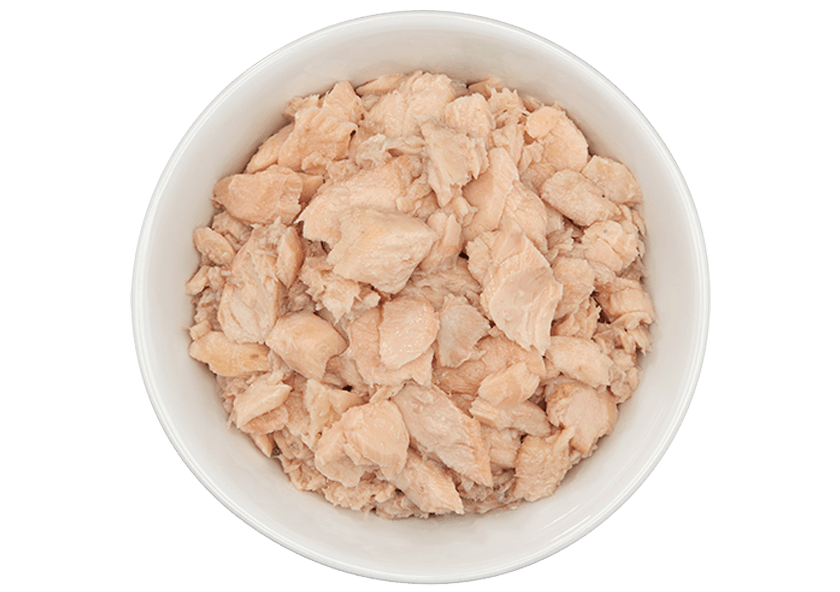 Tiki Cat® Luau™ Wild Salmon Recipe in Salmon Consommé Wet Cat Food