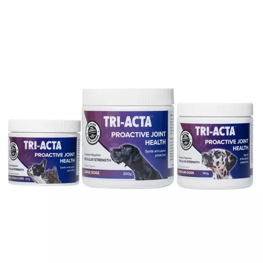 Tri-Acta Regular Strength