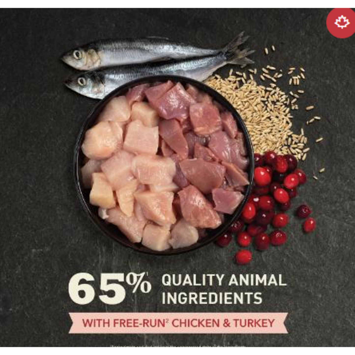 Acana Indoor Entrée Cat food