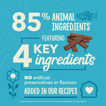 Chewy Strips, Salmon Recipe