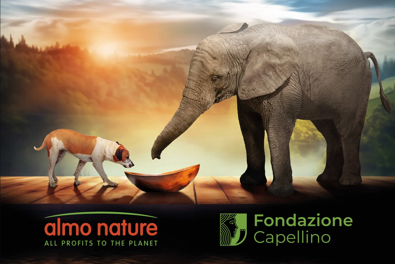 Almo nature HQS classic complete