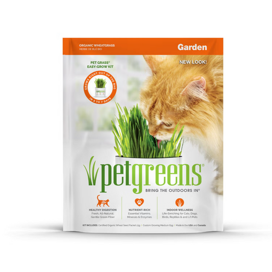 Pet Greens® Pet Grass® Easy-Grow Kit Garden Wheatgrass 88gm
