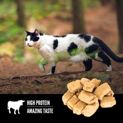 Orijen Cat Regional Red Cat Treats