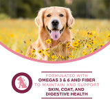 Fromm® Nutritionals Sensitive Skin & Stomach Pâté Wet Dog Food  13oz