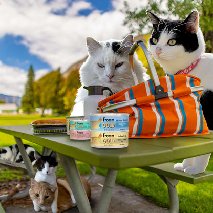 FROMM® GOLD INDOOR CAT HAIRBALL CONTROL CHICKEN & SALMON PÂTÉ FOOD FOR ADULT CATS