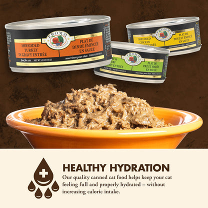 FROMM® FOUR STAR NUTRITIONALS® SHREDDED TURKEY IN GRAVY ENTRÉE WET CAT FOOD
