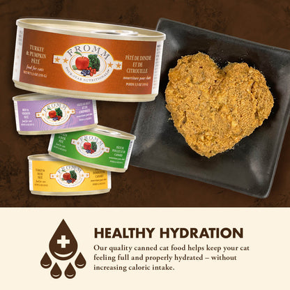 FROMM® FOUR STAR NUTRITIONALS® TURKEY & PUMPKIN PÂTÉ WET CAT FOOD