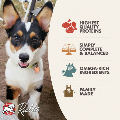 FROMM® CLASSIC PUPPY CHICKEN & SALMON PÂTÉ WET DOG FOOD