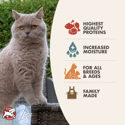 FROMM® FOUR STAR NUTRITIONALS® CHICKEN PÂTÉ WET CAT FOOD