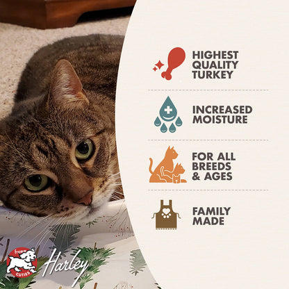 FROMM® FOUR STAR NUTRITIONALS® TURKEY PÂTÉ WET CAT FOOD