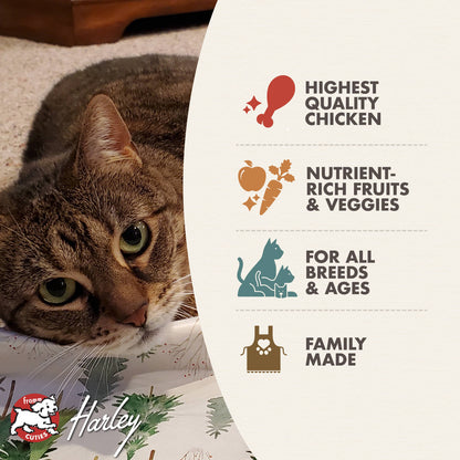 FROMM® FOUR STAR NUTRITIONALS® CHICKEN AU FROMMAGE RECIPE DRY CAT FOOD