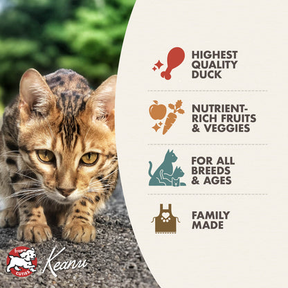 FROMM® FOUR STAR NUTRITIONALS® DUCK À LA VEG RECIPE DRY CAT FOOD