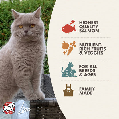FROMM® FOUR STAR NUTRITIONALS® SALMON TUNACHOVY RECIPE DRY CAT FOOD