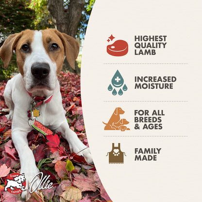 FROMM® LAMB & SWEET POTATO PÂTÉ WET DOG FOOD