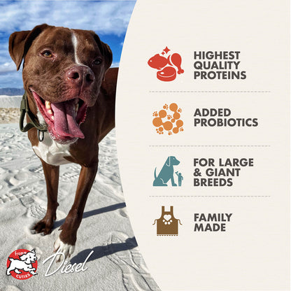 FROMM® HEARTLAND GOLD GRAIN FREE LARGE BREED ADULT DRY DOG FOOD