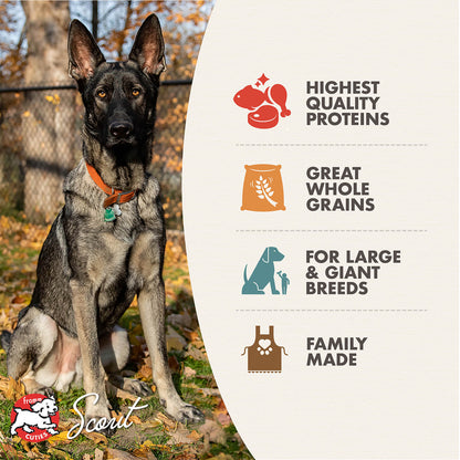 FROMM® GOLD LARGE BREED ADULT DRY DOG FOOD
