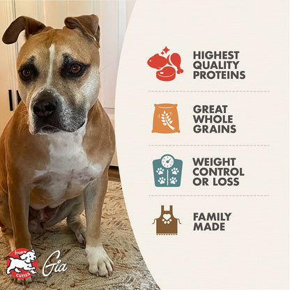 FROMM® GOLD WEIGHT MANAGEMENT DRY DOG FOOD