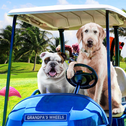 FROMM® GOLD REDUCED ACTIVITY & SENIOR DRY DOG FOOD