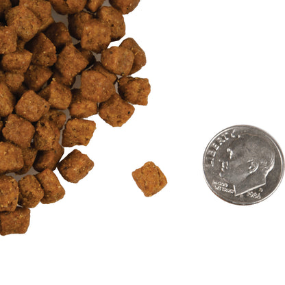 FROMM® FOUR STAR NUTRITIONALS® BEEF LIVÁTTINI VEG RECIPE DRY CAT FOOD