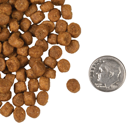 FROMM® FOUR STAR NUTRITIONALS® CHICKEN À LA VEG RECIPE DRY CAT FOOD