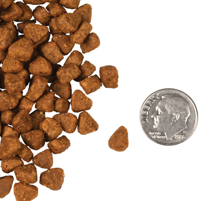FROMM® FOUR STAR NUTRITIONALS® CHICKEN AU FROMMAGE RECIPE DRY CAT FOOD