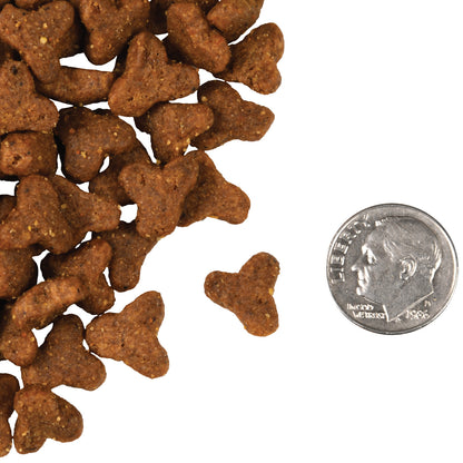 FROMM® FOUR STAR NUTRITIONALS® GAME BIRD RECIPE DRY CAT FOOD
