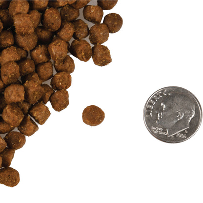 FROMM® FOUR STAR NUTRITIONALS® TROUT & WHITEFISH RECIPE DRY CAT FOOD
