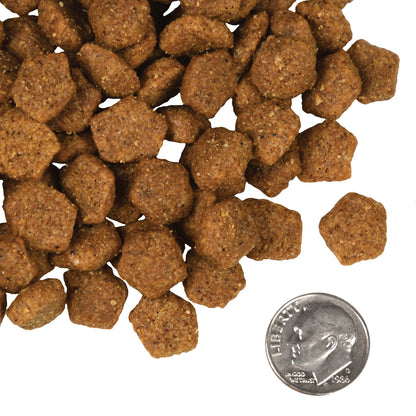 FROMM® FOUR STAR NUTRITIONALS® DUCK À LA VEG RECIPE DRY DOG FOOD