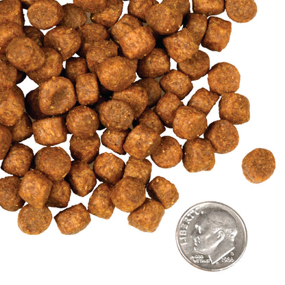 FROMM® FOUR STAR NUTRITIONALS® DUCK À LA VEG RECIPE DRY DOG FOOD