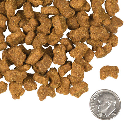 FROMM® FOUR STAR NUTRITIONALS® LAMB & LENTIL RECIPE DRY DOG FOOD