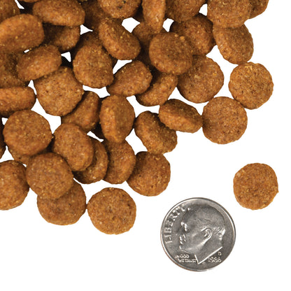 FROMM® FOUR STAR NUTRITIONALS® PORK & APPLESAUCE FORMULA DRY DOG FOOD